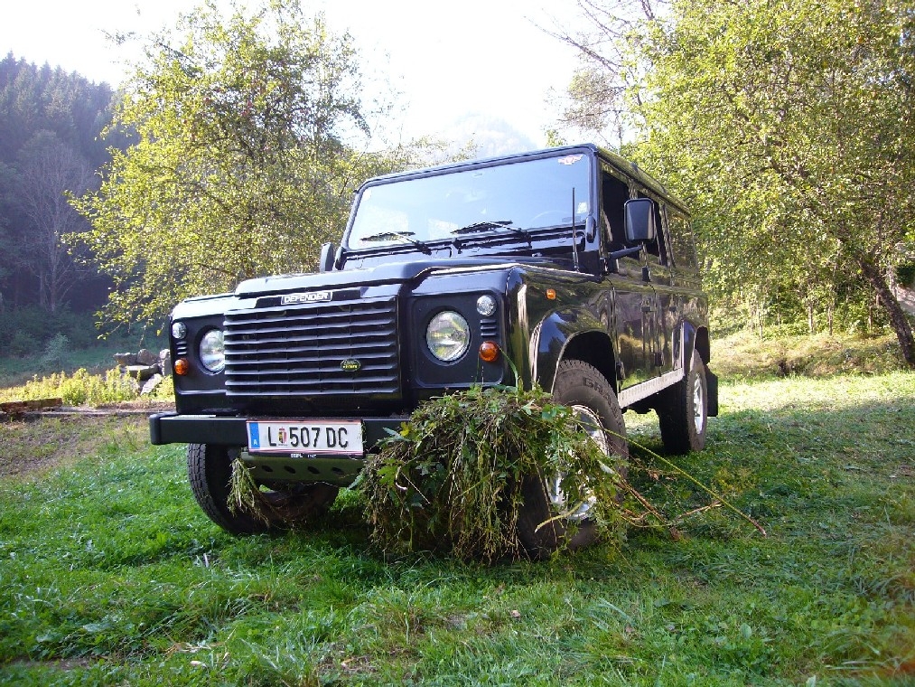 manchmal frisst er Gras wie eine Kuh!