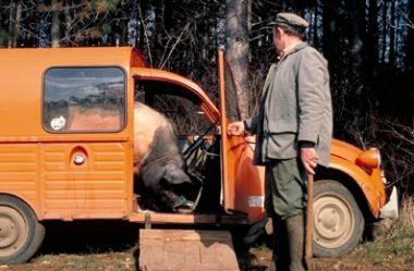 tr?ffelschwein 2cv